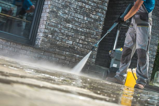 Best Pre-Holiday Cleaning  in Gatesville, TX